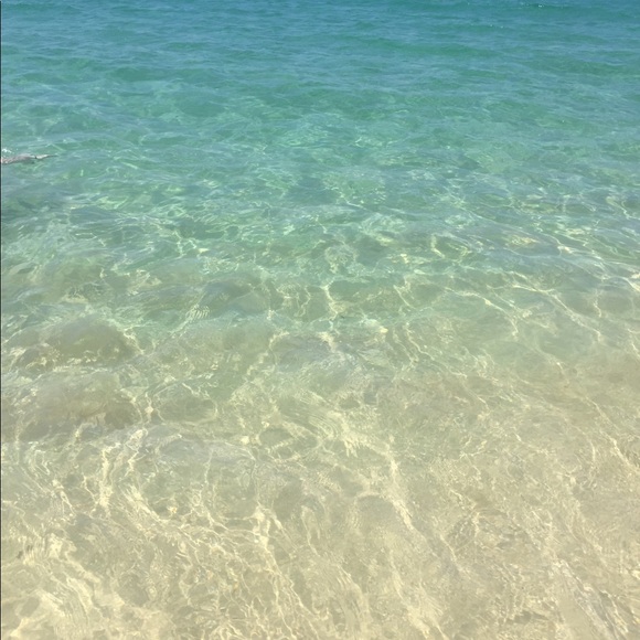 Meet your Posher, Lauren - Picture 1 of 1